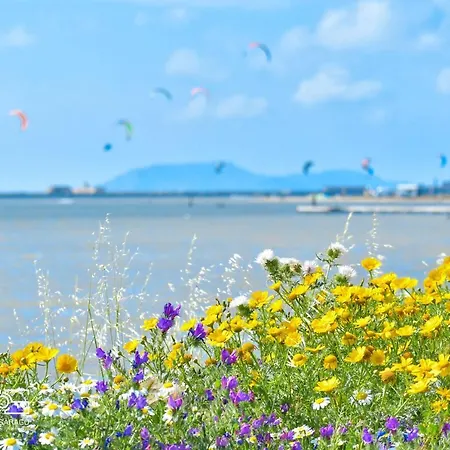 La Posidonia *